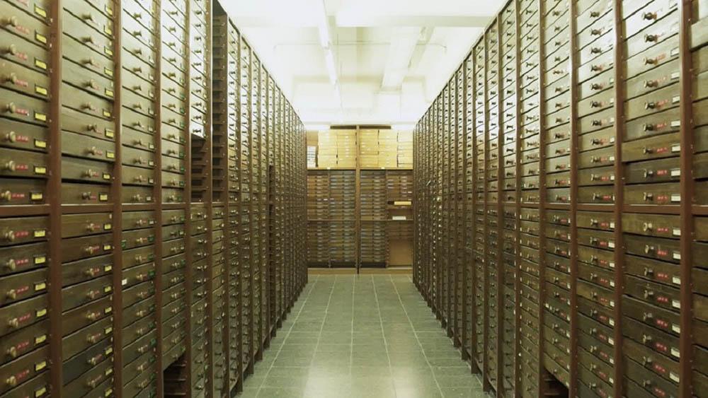 Die entomologische Sammlung des CeNAK, Hamburg